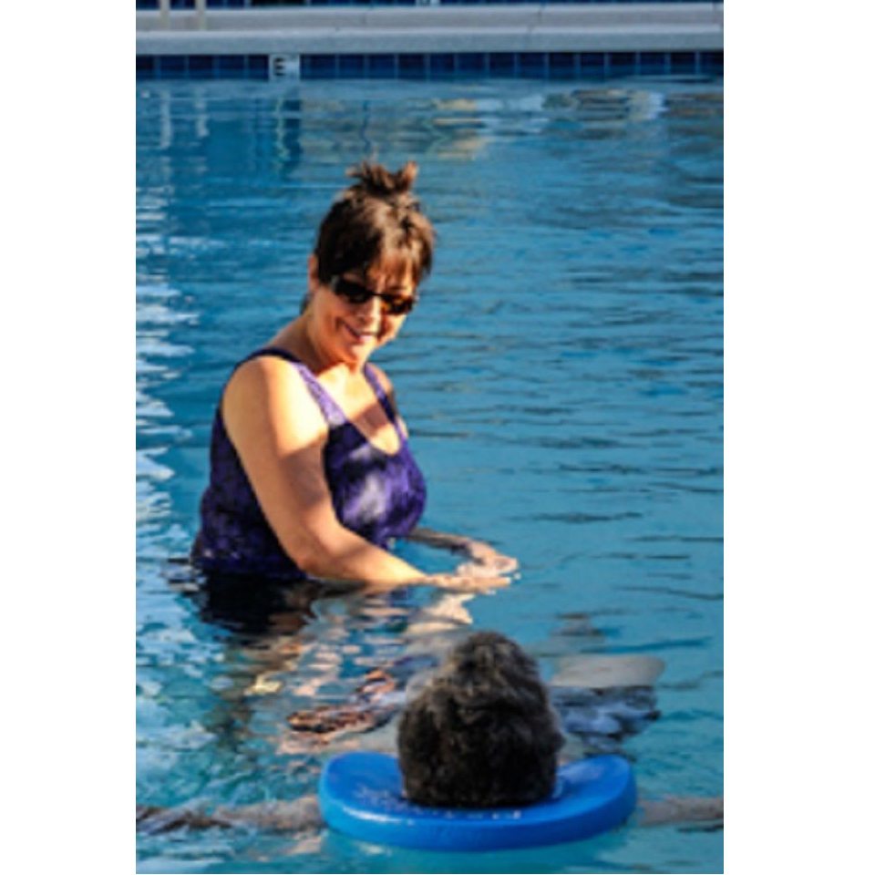 Nekdoodle DVD Therapeutic Aquatic Exercises